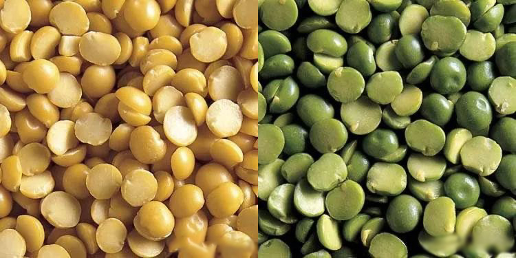 美國農(nóng)業(yè)部雜豆質量標準 - 分瓣豌豆篇